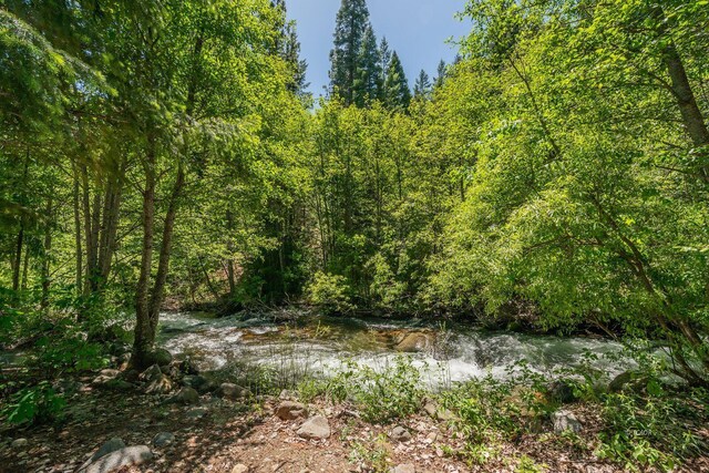 121 Mountain Aire Ln, Trinity Center, CA 96091 - photo 6