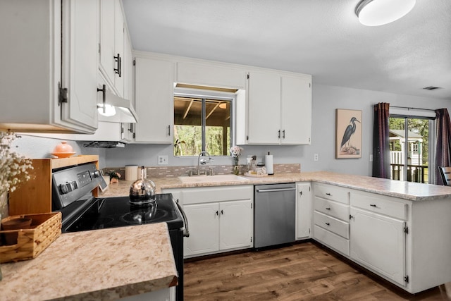 kitchen with black range with electric stovetop, a healthy amount of sunlight, stainless steel dishwasher, and a sink