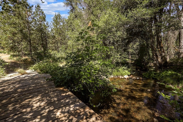 view of nature featuring a wooded view