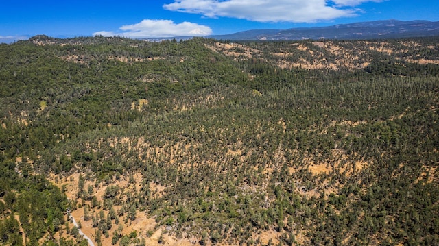 mountain view with a forest view