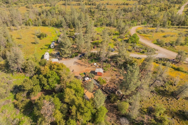drone / aerial view with a forest view