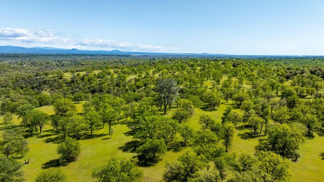 21623 Seven Lakes Ln, Redding, CA 96003 - drone / aerial view with a mountain view and a wooded view
