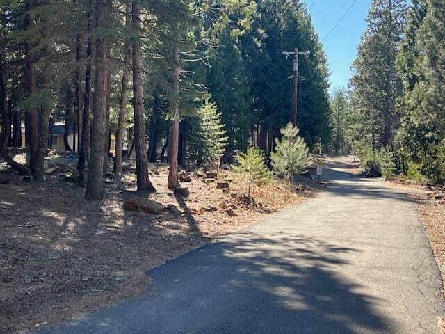8725 Rocky Mountain Rd, Shingletown, CA 96088 - view of street