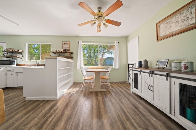 dining room featuring a wealth of natural light, dark wood-type flooring, and ceiling fan