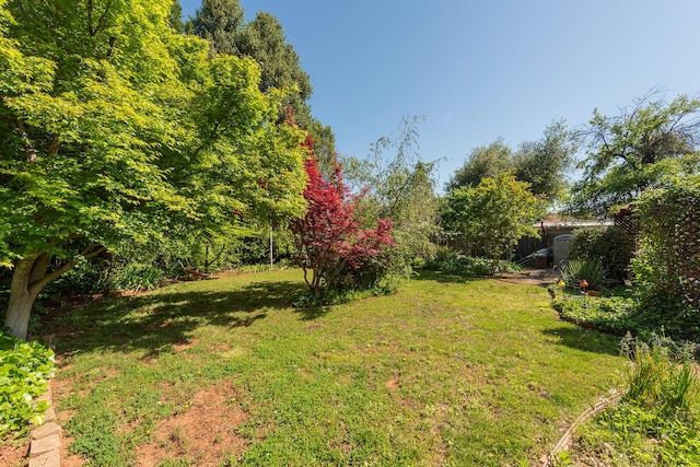 view of yard