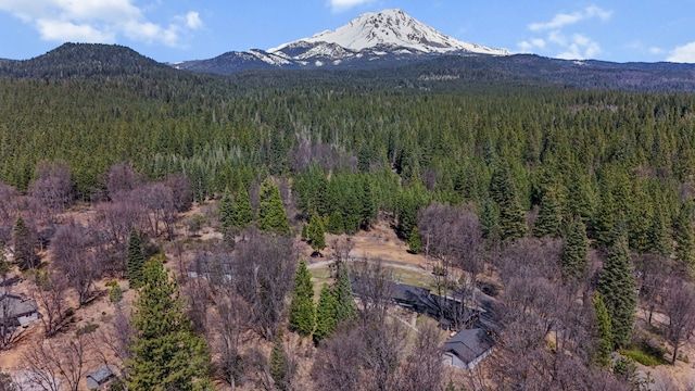 birds eye view of property with a forest view and a mountain view