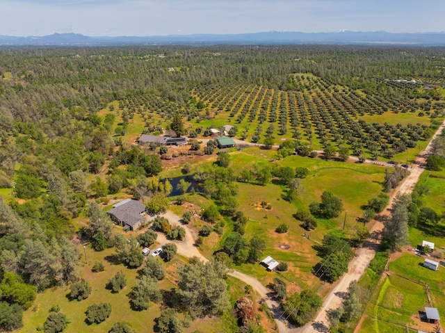bird's eye view featuring a forest view
