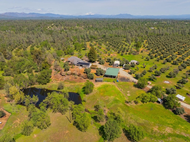 birds eye view of property with a forest view and a water view