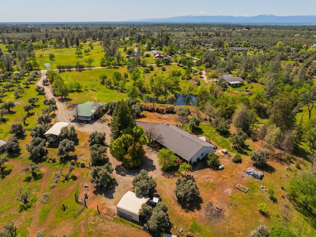 drone / aerial view