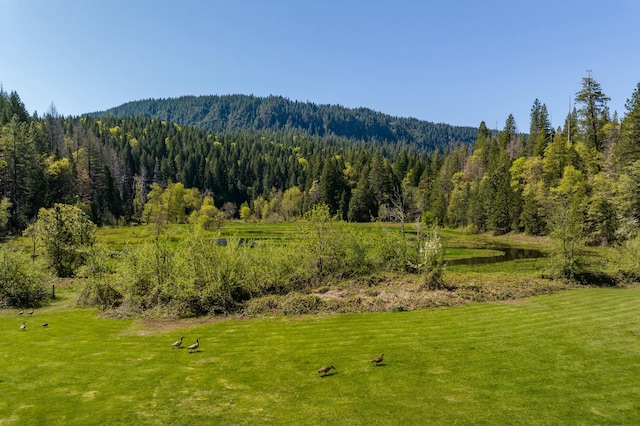 31419 Hagen Flat Rd, Big Bend, CA 96011 - photo 17