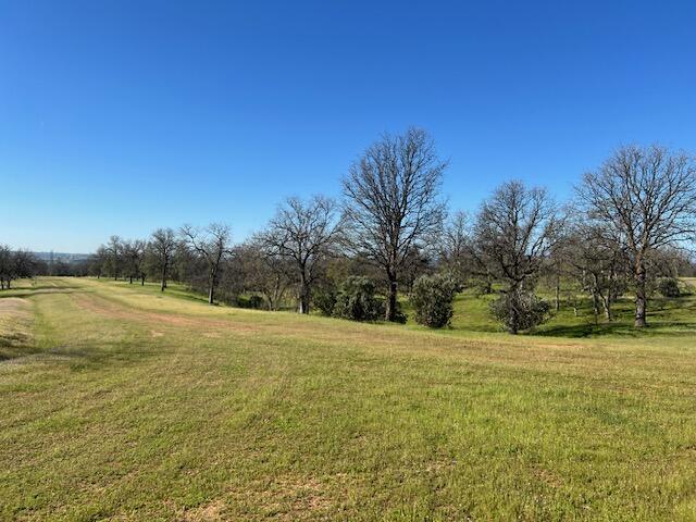 LOT4 Rhonda Rd, Cottonwood, CA 96022 - photo 10