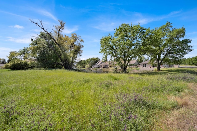22496 Rio Alto Dr, Cottonwood, CA 96022 - view of yard