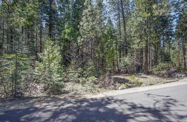 NE Emigrant Trl, Shingletown, CA 96088