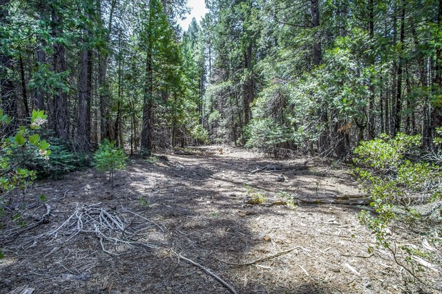 NE Emigrant Trl, Shingletown, CA 96088