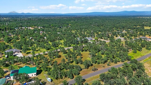 Alyse Ct, Cottonwood, CA 96022 - photo 6