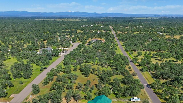 Alyse Ct, Cottonwood, CA 96022 - photo 7