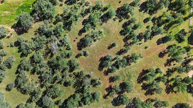 Alyse Ct, Cottonwood, CA 96022 - photo 11