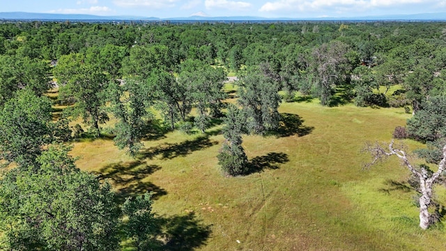Alyse Ct, Cottonwood, CA 96022 - photo 12