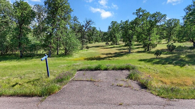 Alyse Ct, Cottonwood, CA 96022 - photo 13