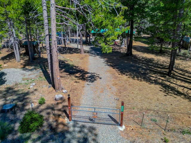 view of street featuring a gate and gravel driveway