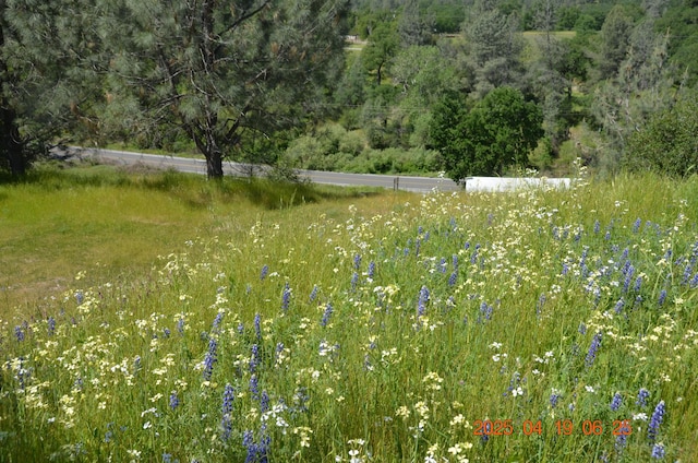 14722 Bollibokka Way, Redding, CA 96003 - view of nature featuring a forest view