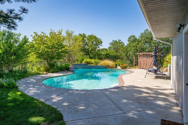 view of pool with fence, a patio area, and a fenced in pool