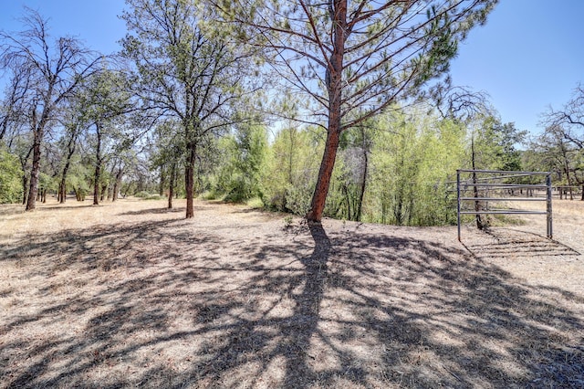 exterior space featuring a wooded view