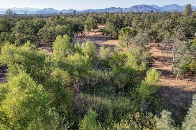 birds eye view of property featuring a rural view and a mountain view