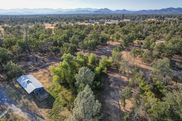 drone / aerial view with a view of trees and a mountain view