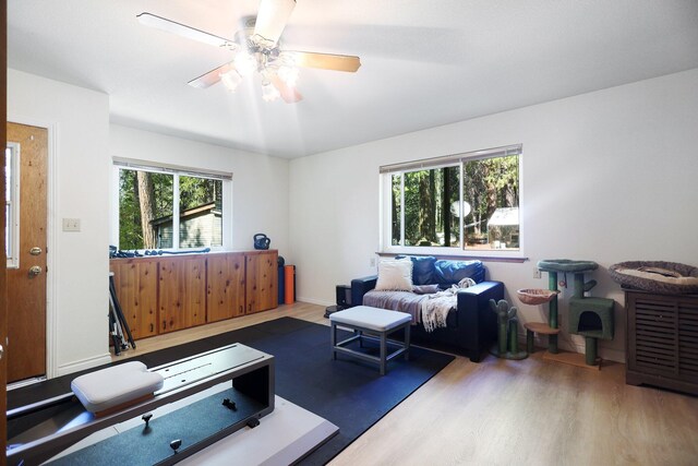 21800 Cedar Ridge Rd, Manton, CA 96059