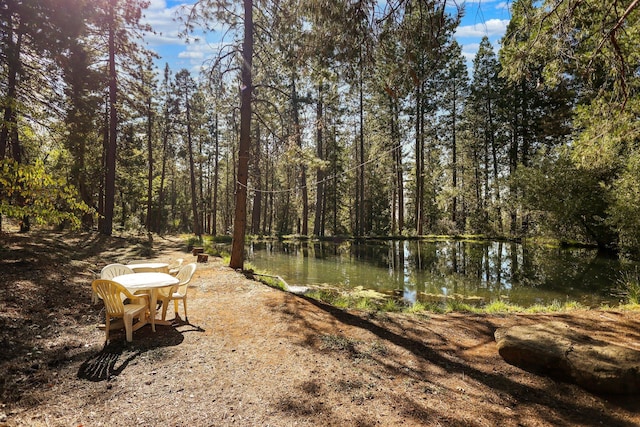 21800 Cedar Ridge Rd, Manton, CA 96059