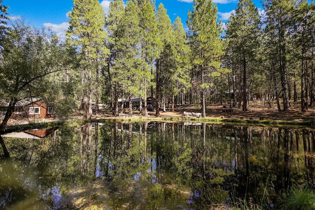 21800 Cedar Ridge Rd, Manton, CA 96059