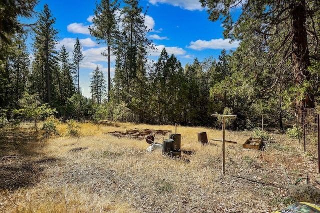 21800 Cedar Ridge Rd, Manton, CA 96059