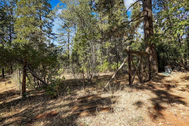 21800 Cedar Ridge Rd, Manton, CA 96059