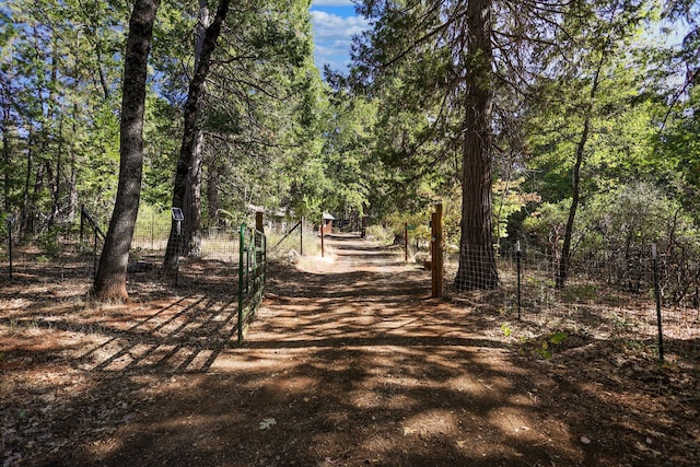 21800 Cedar Ridge Rd, Manton, CA 96059