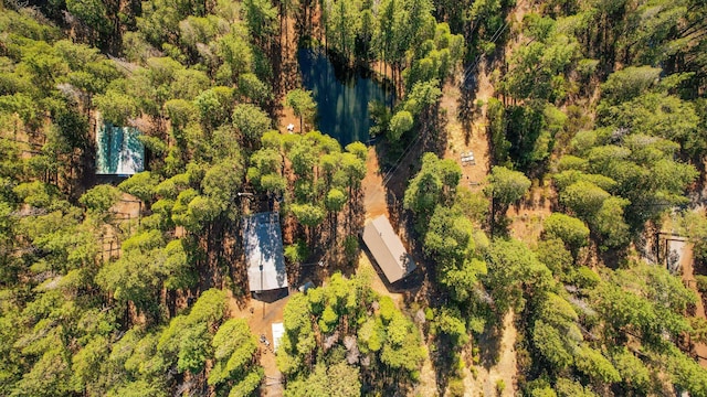 21800 Cedar Ridge Rd, Manton, CA 96059
