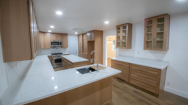 kitchen featuring wood finished floors, a sink, a peninsula, glass insert cabinets, and appliances with stainless steel finishes
