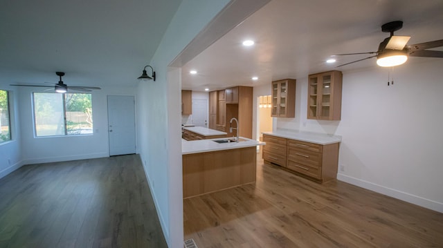 kitchen with a ceiling fan, wood finished floors, a sink, brown cabinets, and glass insert cabinets
