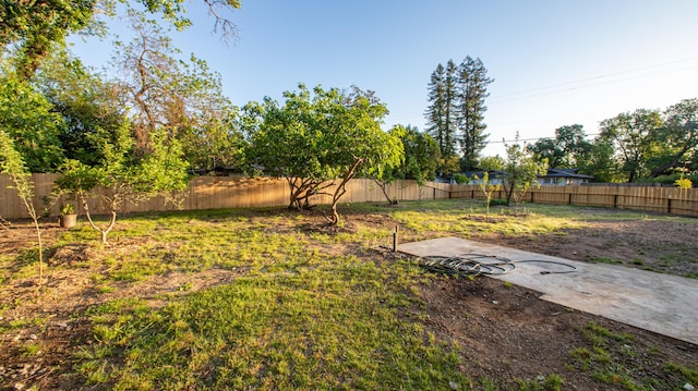 view of yard featuring a fenced backyard