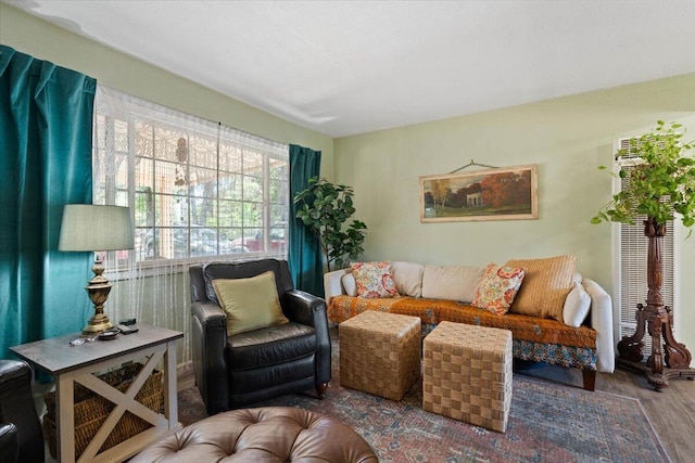 19715 Reed Rd, Cottonwood, CA 96022 - living room featuring wood finished floors
