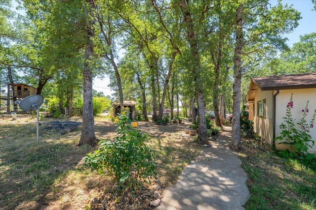 19715 Reed Rd, Cottonwood, CA 96022 - view of yard