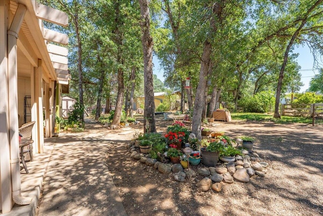 19715 Reed Rd, Cottonwood, CA 96022 - view of yard