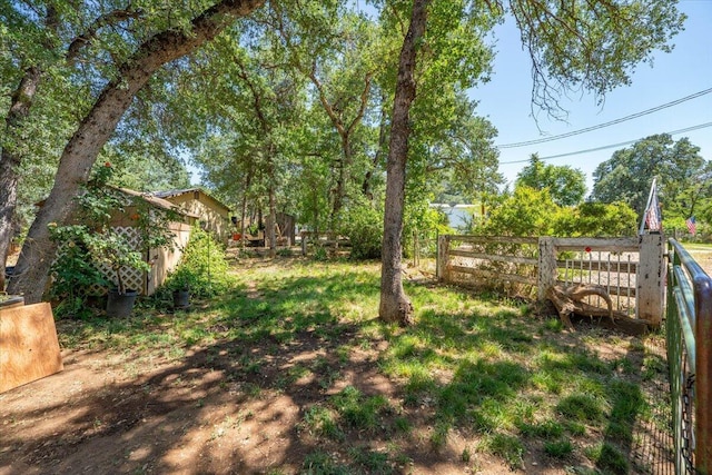 19715 Reed Rd, Cottonwood, CA 96022 - view of yard