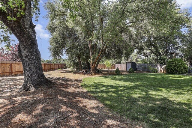 20340 Greenview Dr, Redding, CA 96002 - view of yard