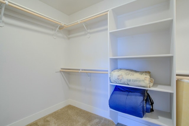 3503 Americana Way, Redding, CA 96003 - walk in closet featuring carpet flooring