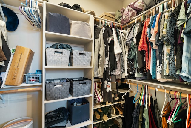 5538 Muir Peak Rd, Redding, CA 96002 - view of spacious closet