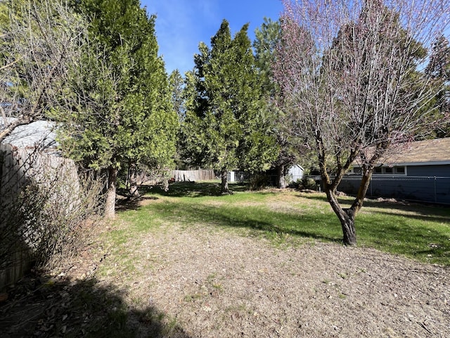 36770 Woods Ave, Burney, CA 96013 - view of yard