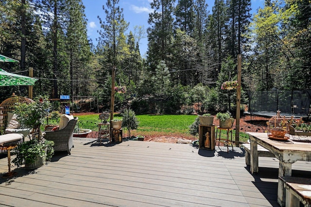 deck with a trampoline and a lawn