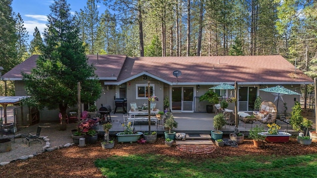 back of property with a patio area and roof with shingles