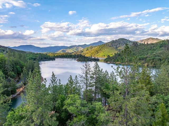 19817 Oak Knoll Dr, Lakehead, CA 96051 - view of water feature featuring a mountain view and a forest view